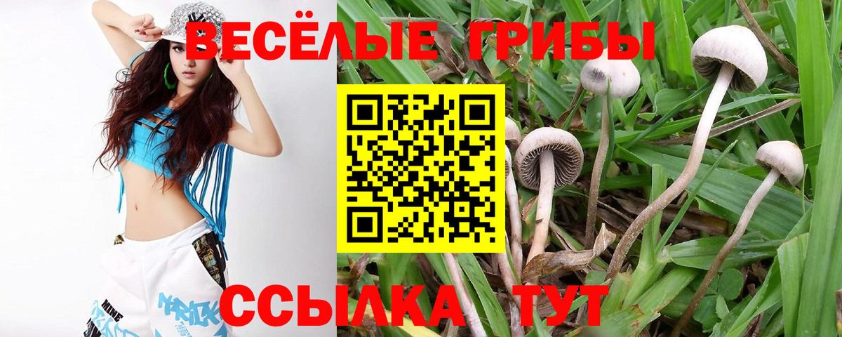 Галлюциногенные грибы Psilocybe  Вход с VPN  Спасск-Дальний  Псилоцибиновые грибы Magic Shrooms 